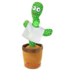 Cáctus dançarino "Panchito" - Image 3