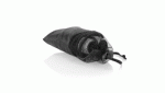 Cordas Fitness TPE/EVA "Zhiax" - Image 2
