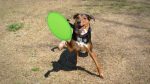 Frisbee Poliéster "Watson" - Image 4